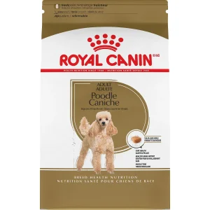 Royal Canin Chien Adulte Nourriture Sèche Caniche