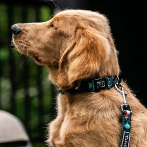 Tella&Stella  Collier pour chien Houston